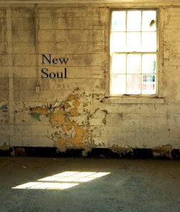New Soul